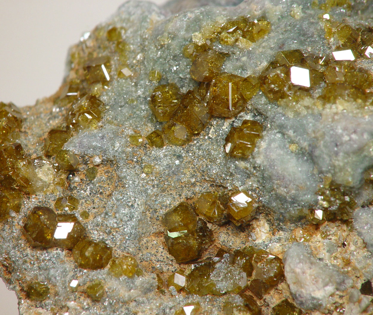 Topazolite On Serpentine