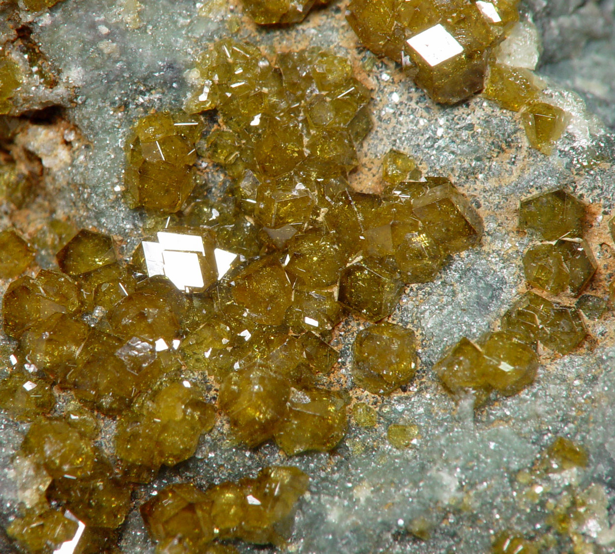 Topazolite On Serpentine