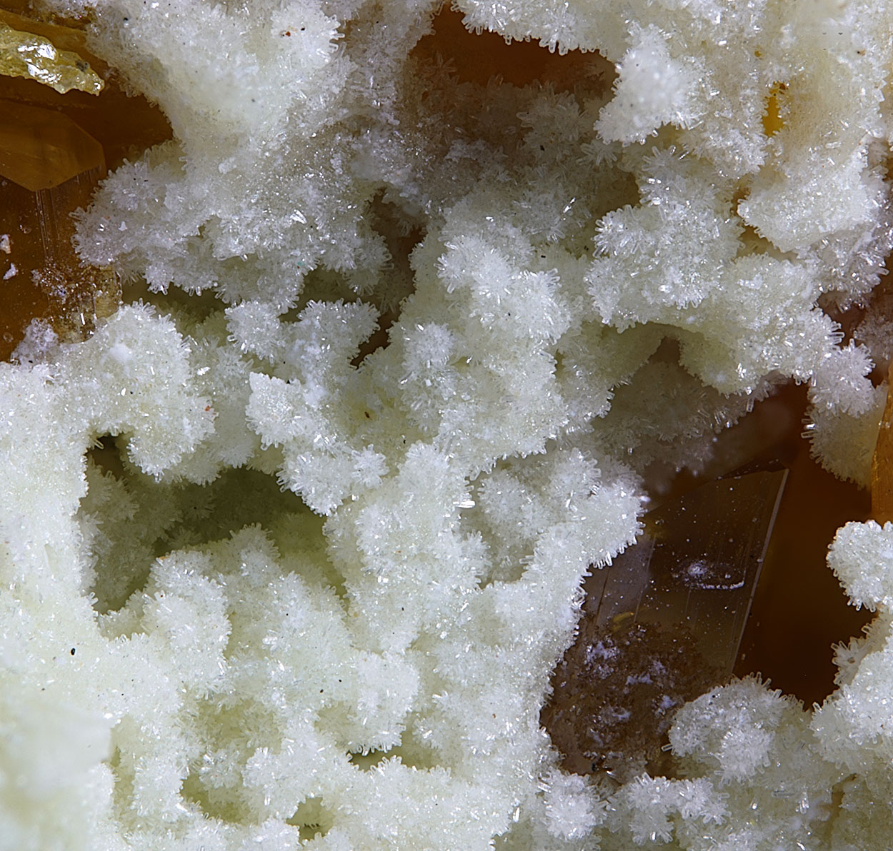 Wulfenite & Phosphohedyphane