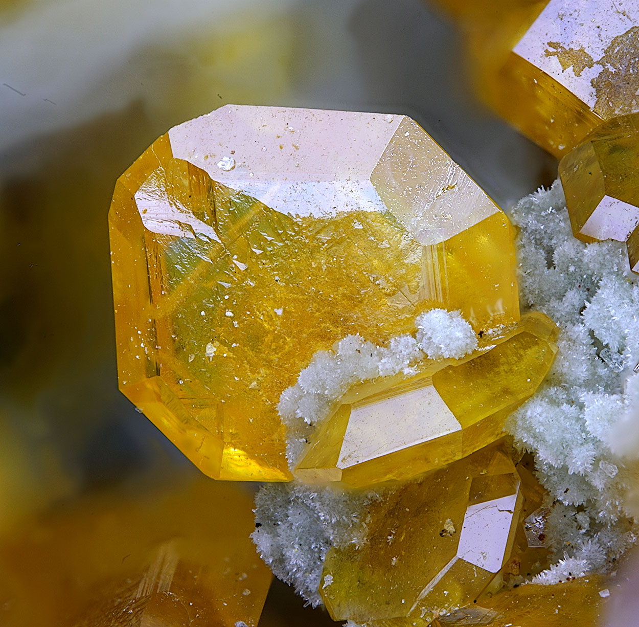 Wulfenite & Phosphohedyphane