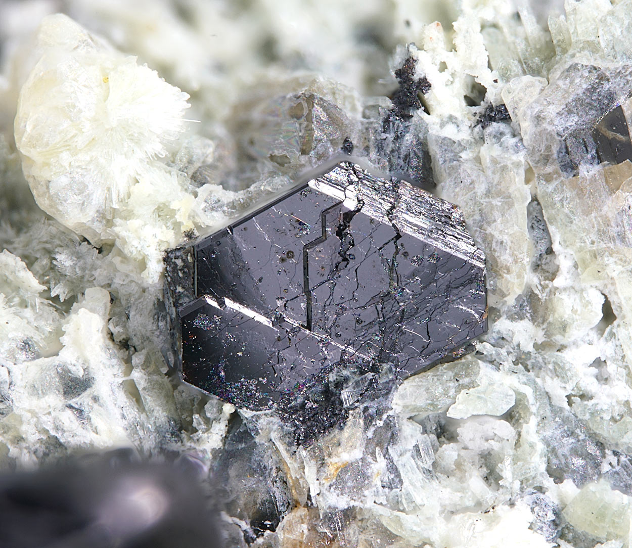 Zirconolite & Ilmenite