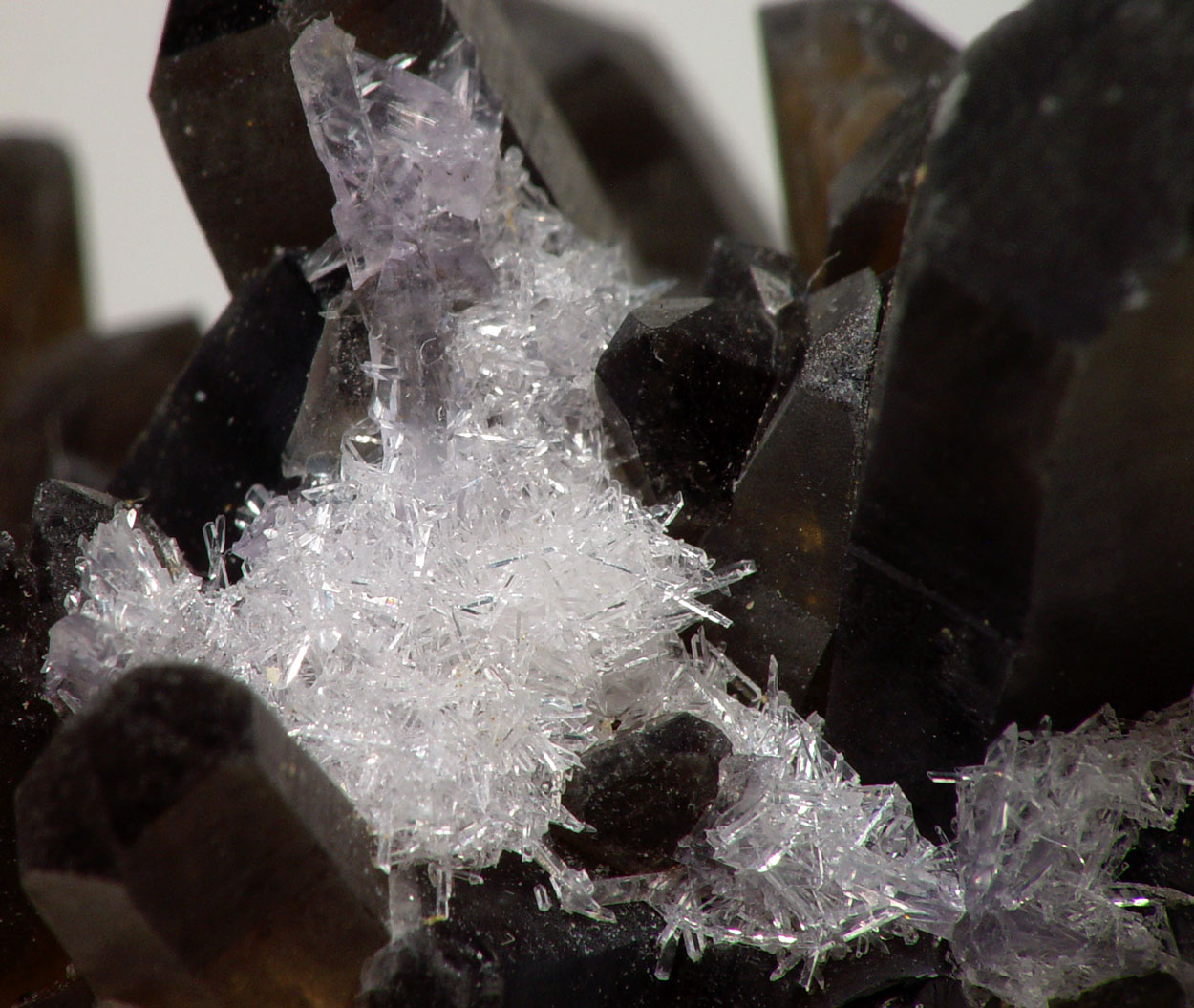 Bertrandite On Smoky Quartz