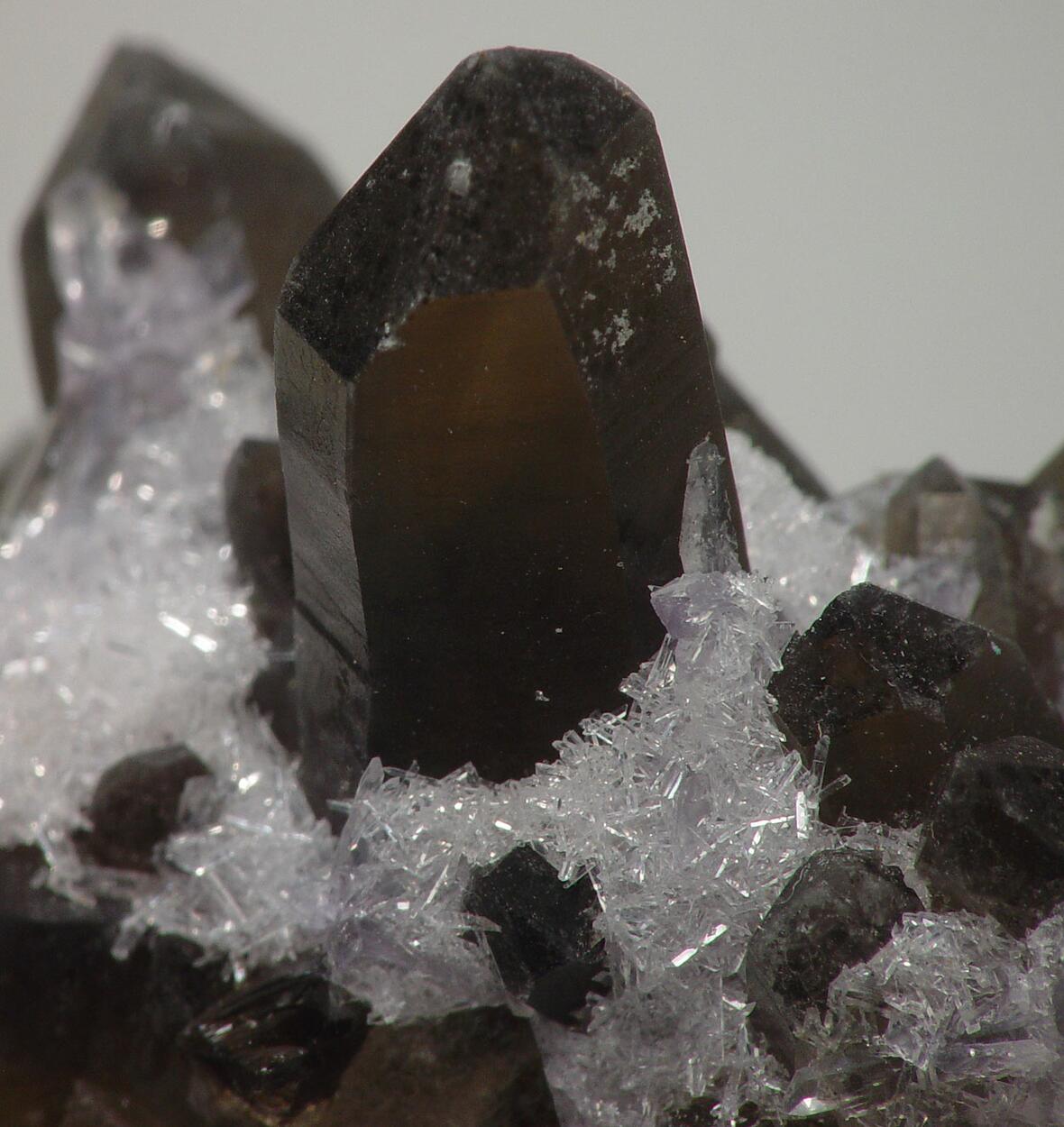 Bertrandite On Smoky Quartz