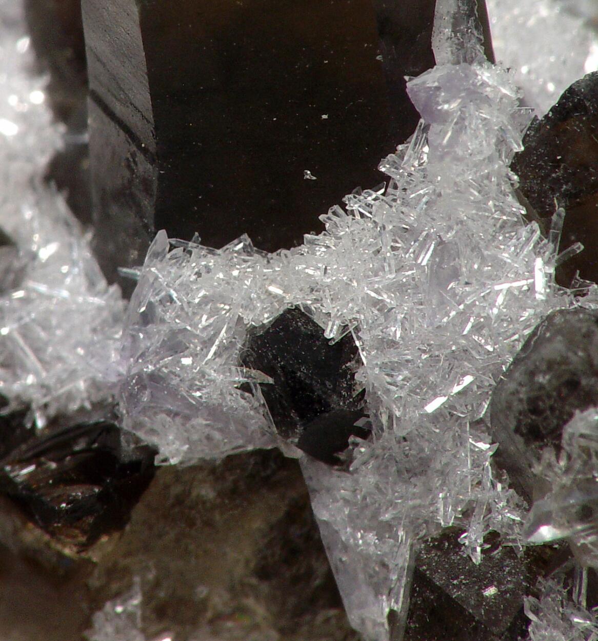 Bertrandite On Smoky Quartz