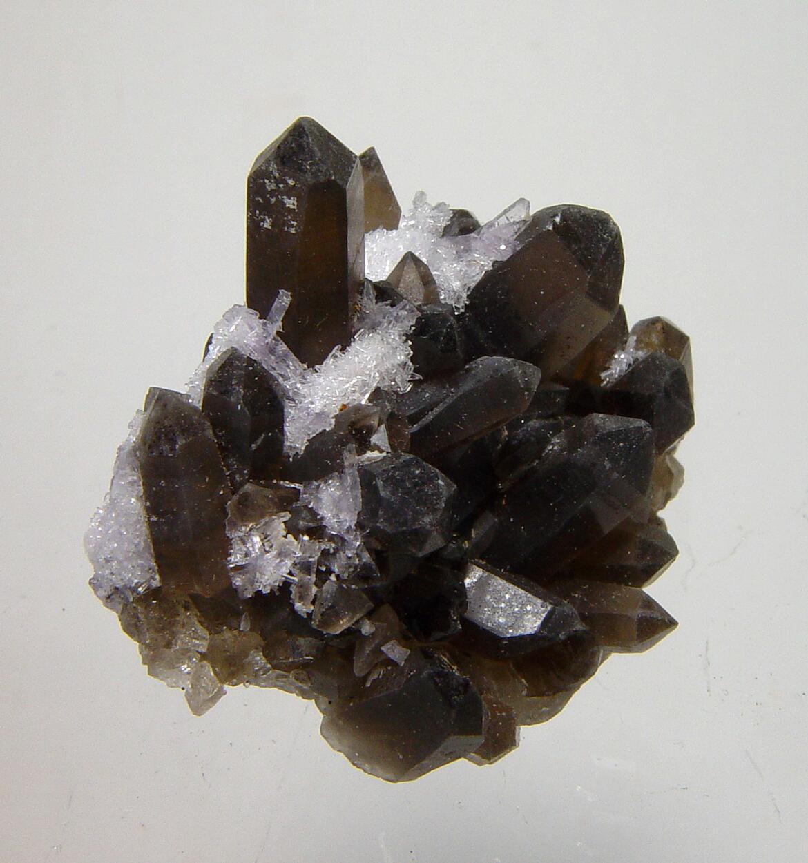 Bertrandite On Smoky Quartz