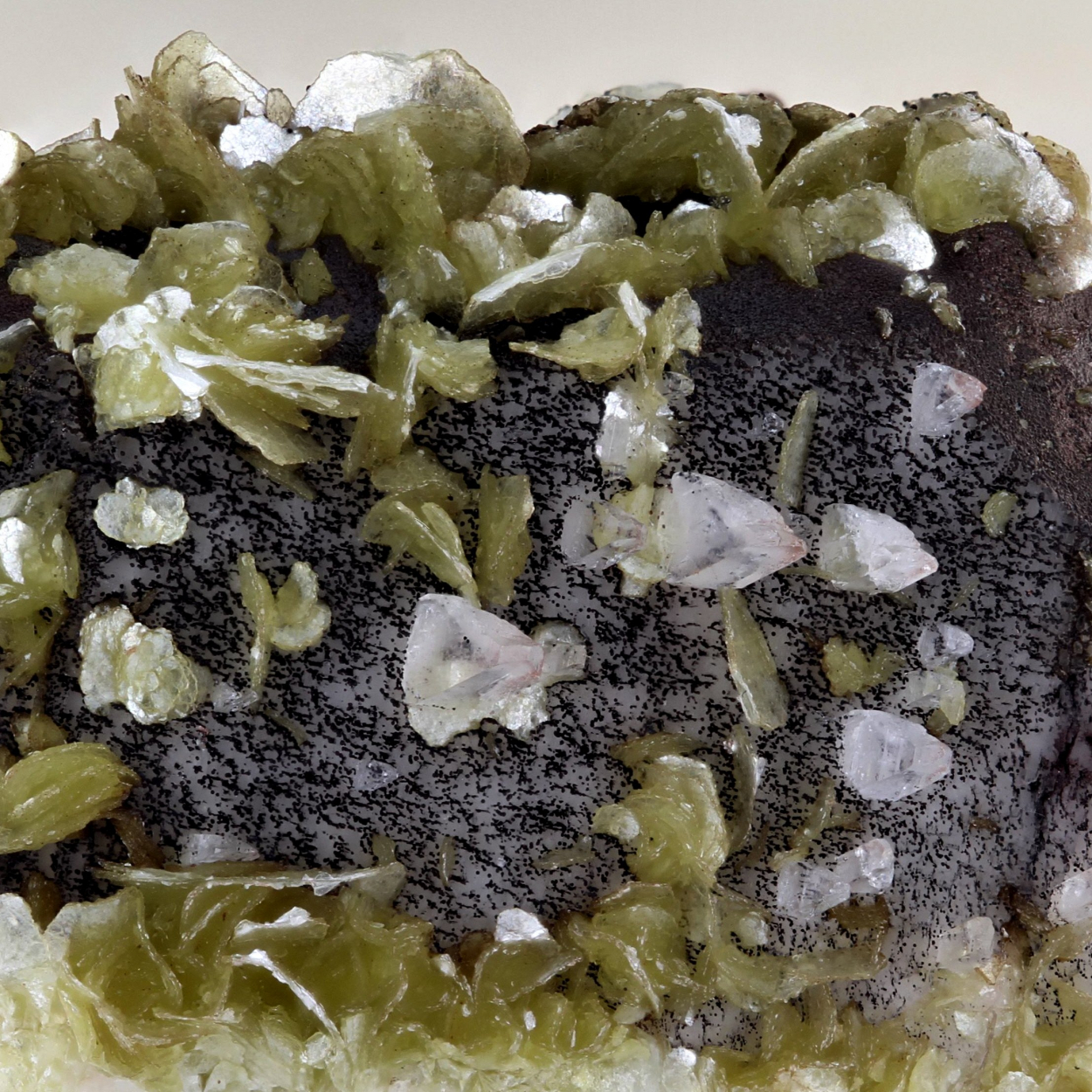 Muscovite With Albite