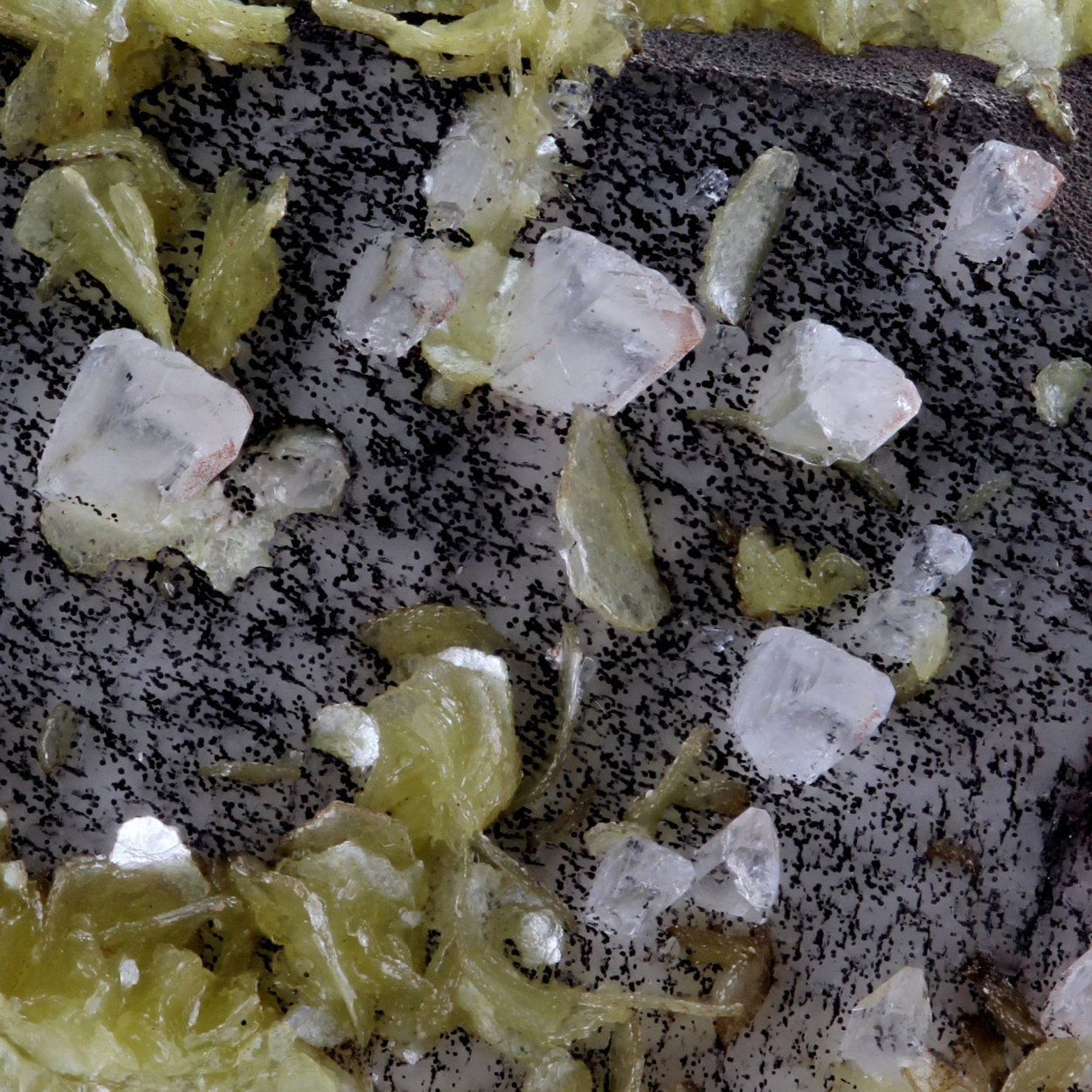 Muscovite With Albite