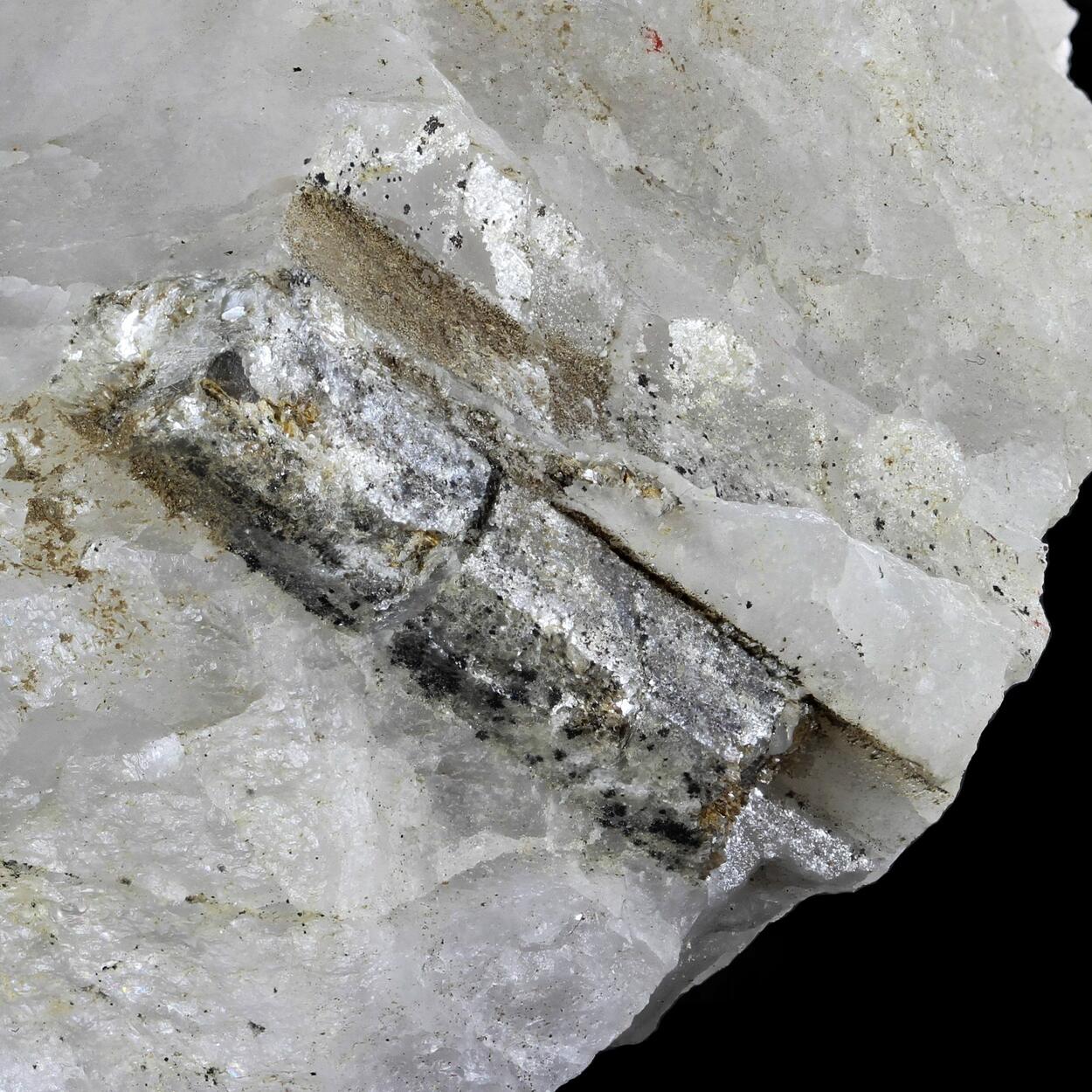 Sillimanite With Muscovite