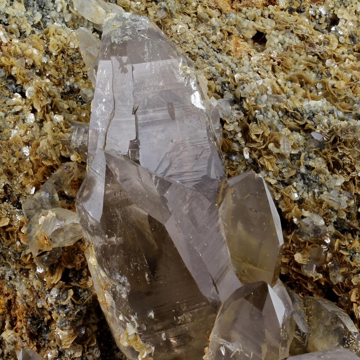 Smoky Quartz Var Ticino Habit