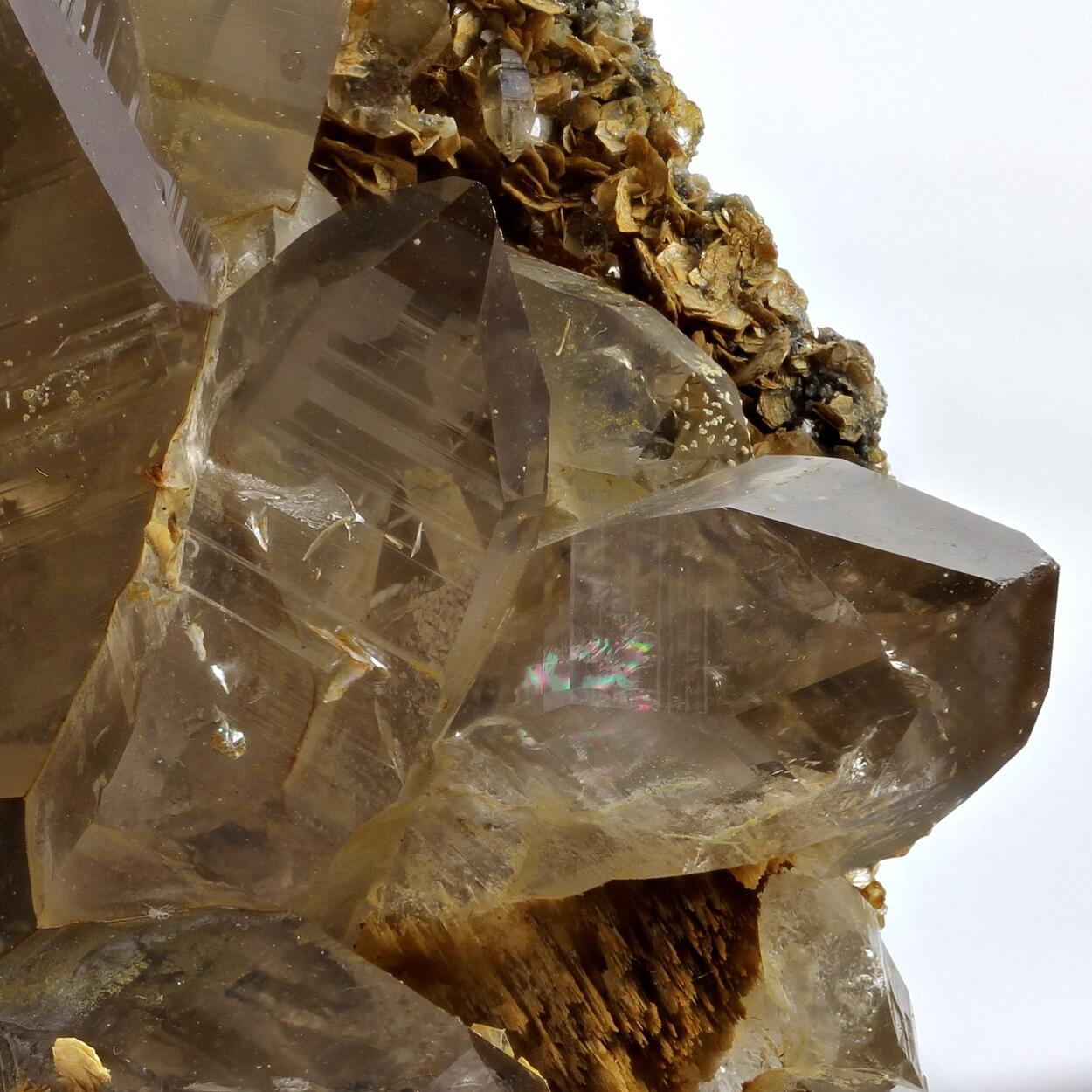 Smoky Quartz Var Ticino Habit