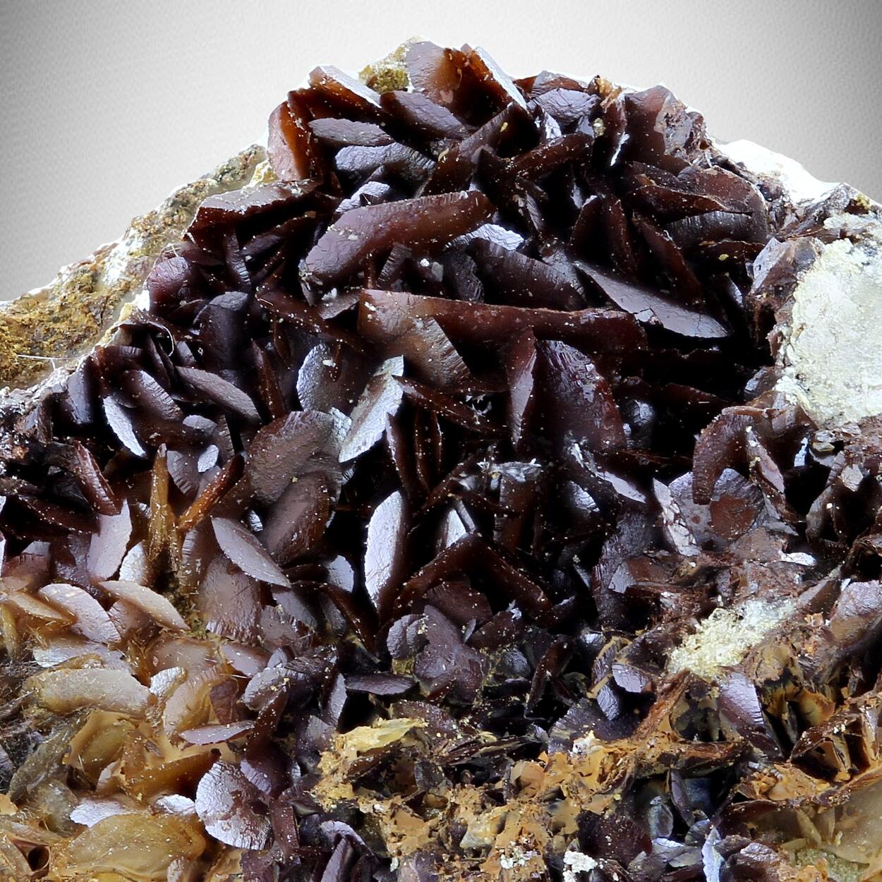 Boulangerite Var Plumosite With Siderite