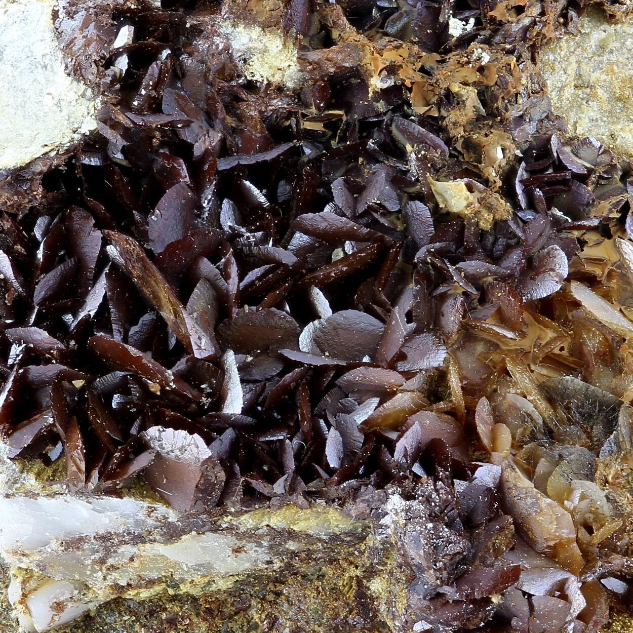 Boulangerite Var Plumosite With Siderite