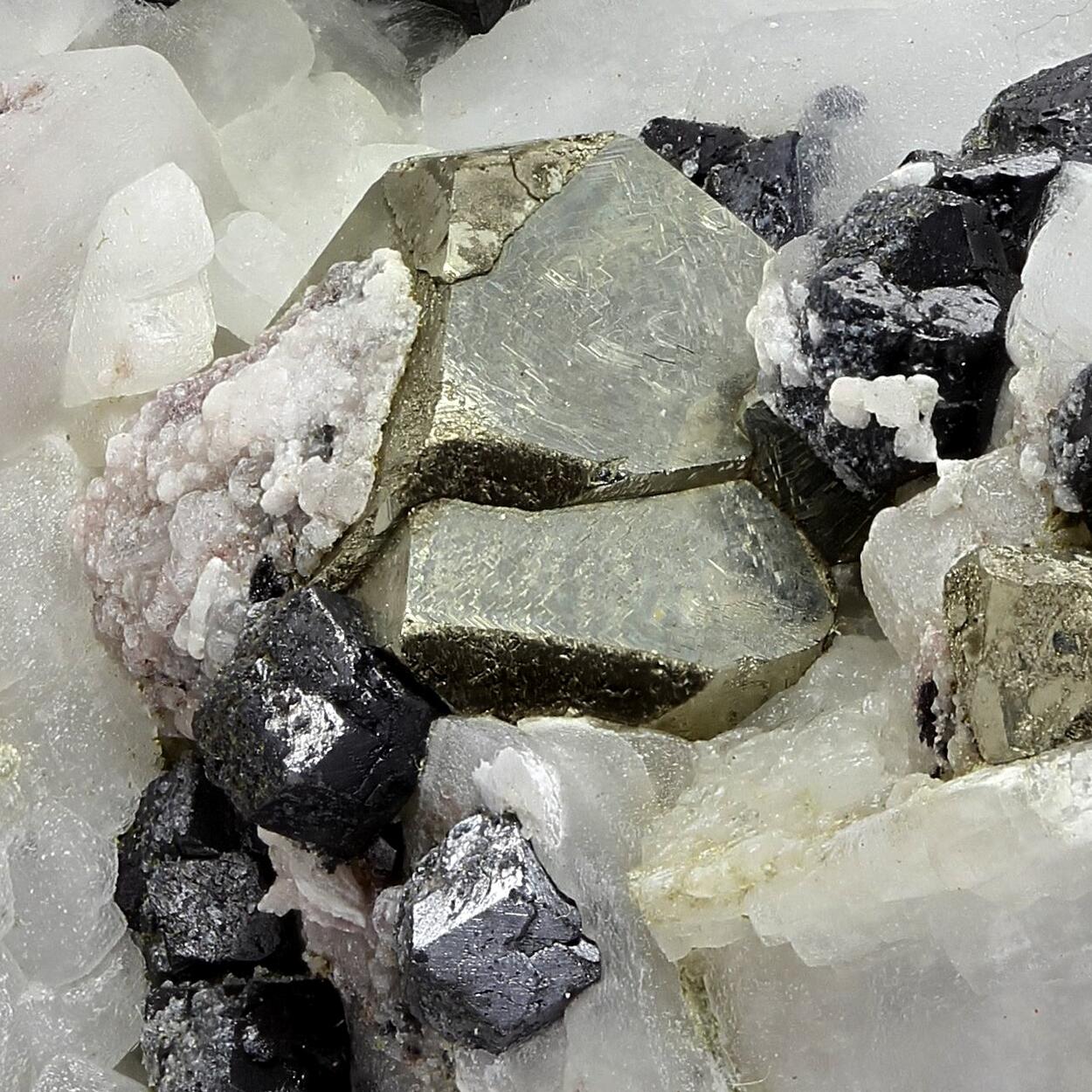 Galena With Pyrite