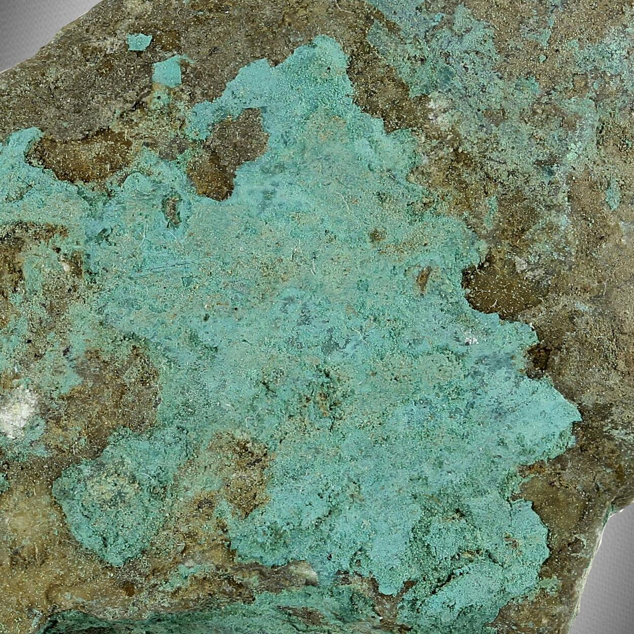 Woodwardite