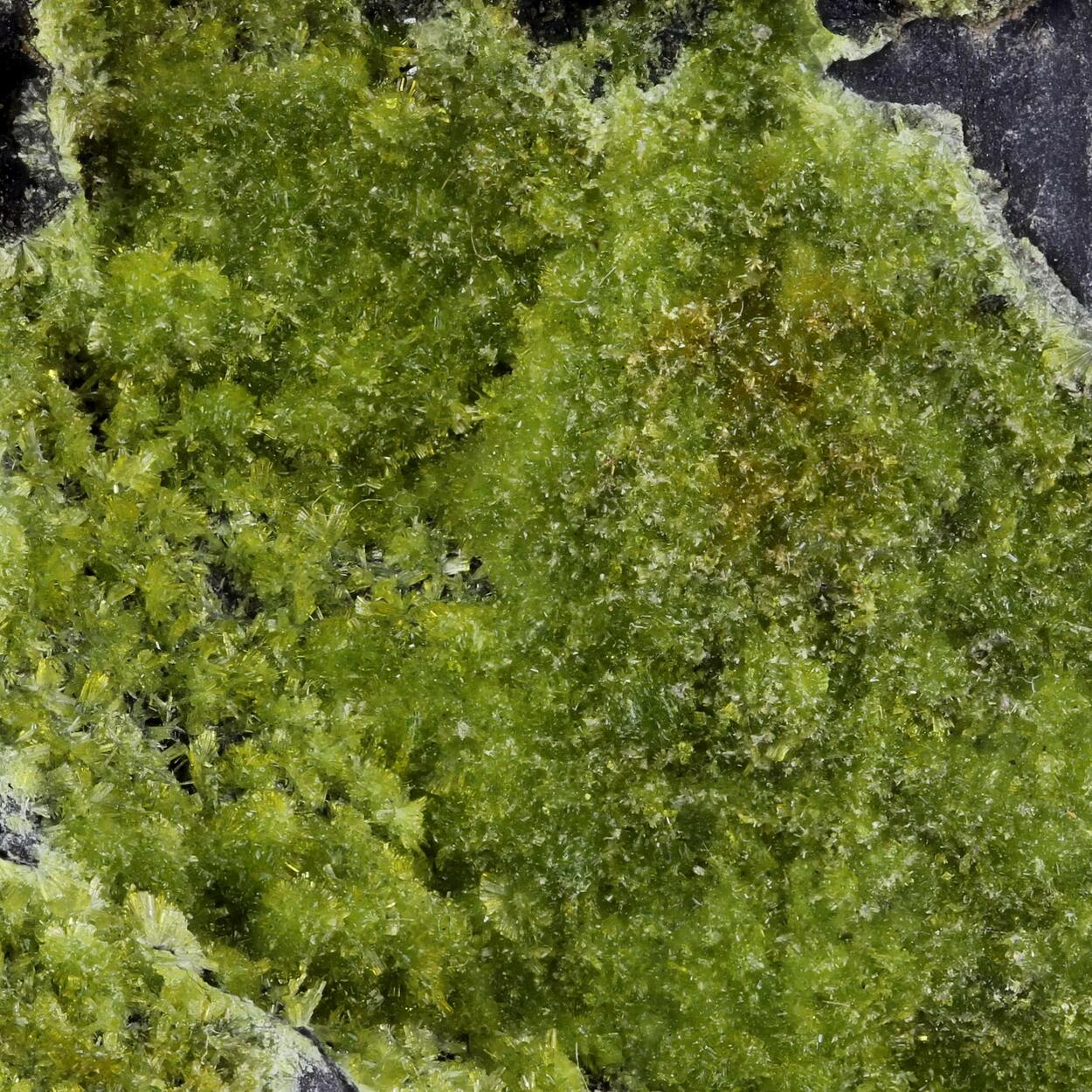 Epidote