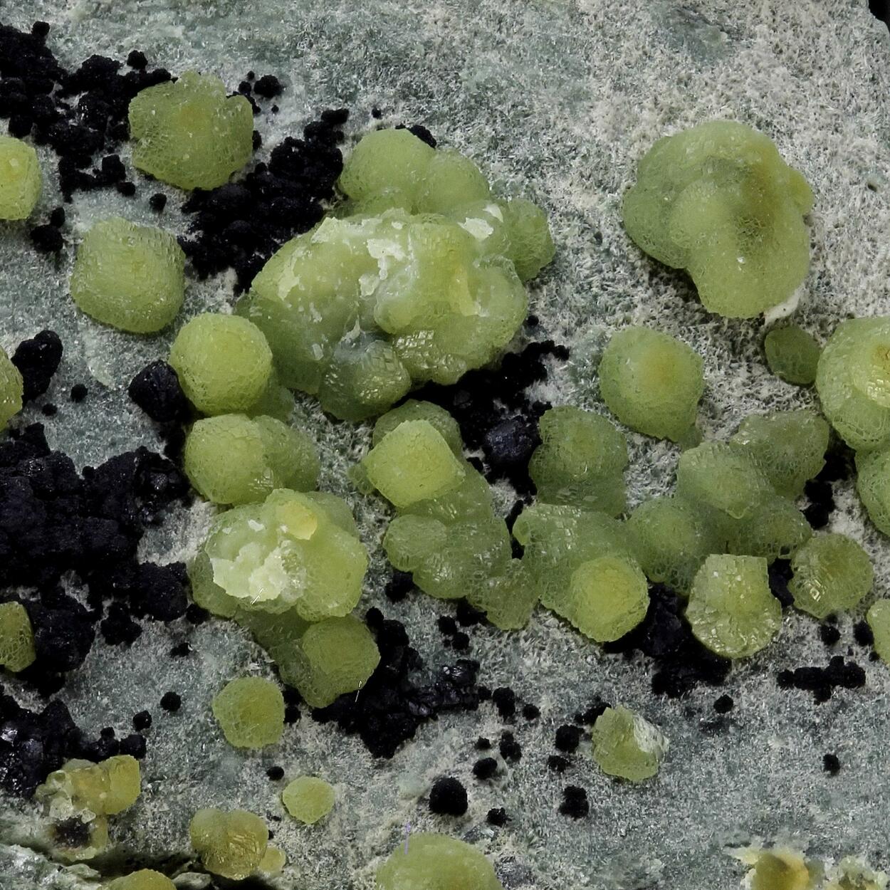 Demantoid With Magnetite