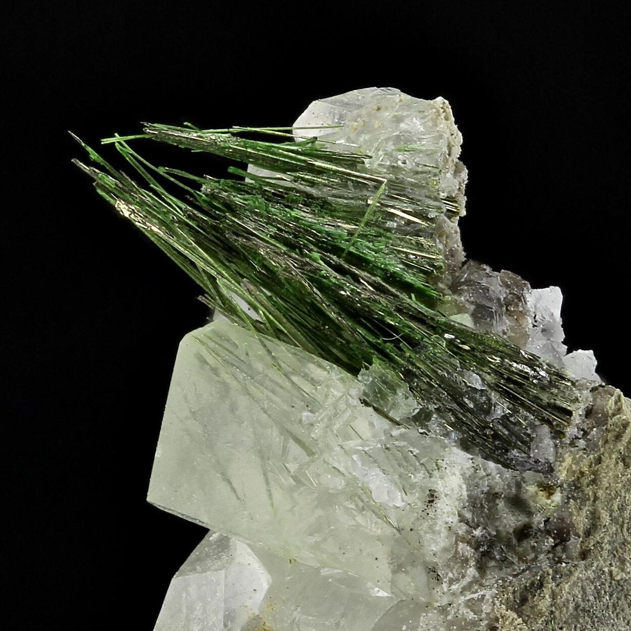 Millerite With Honessite