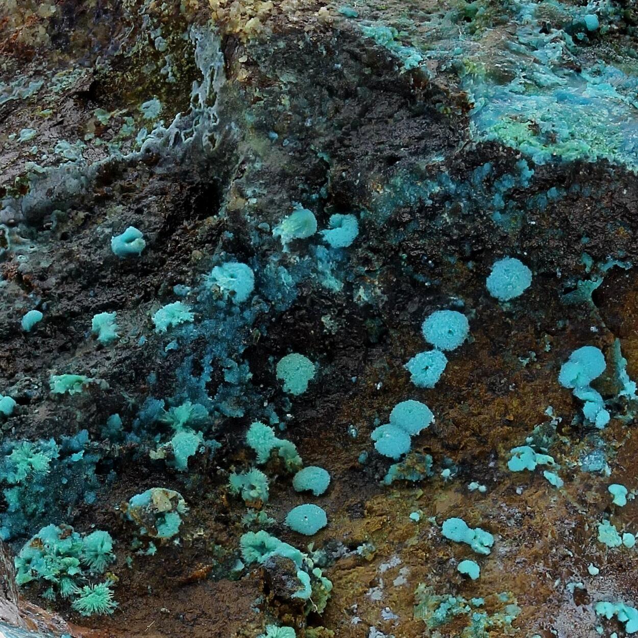 Chrysocolla
