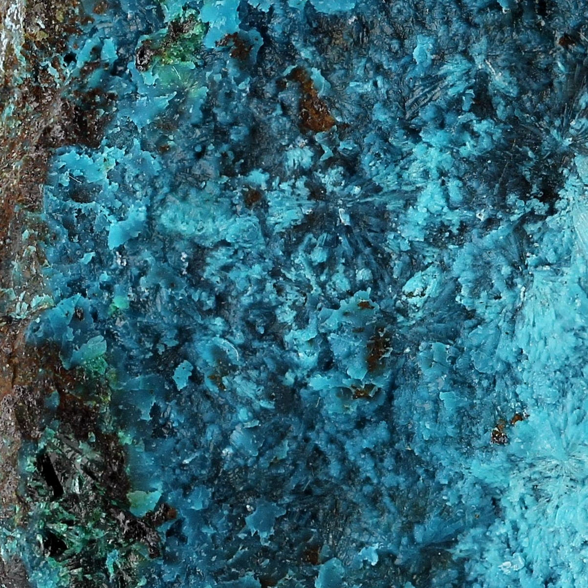 Chrysocolla