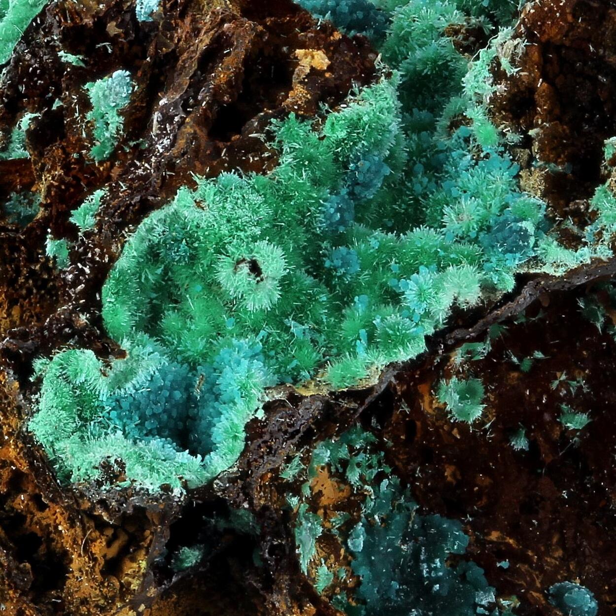 Rosasite With Malachite