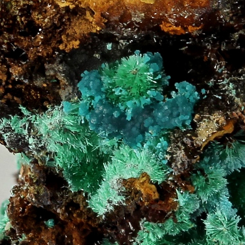 Rosasite With Malachite