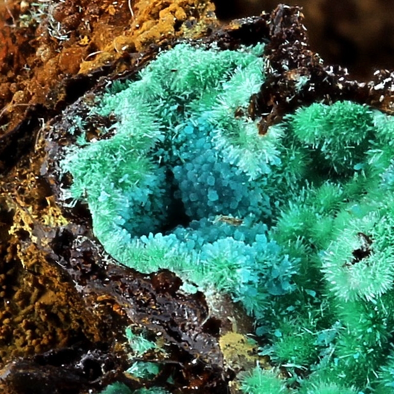 Rosasite With Malachite