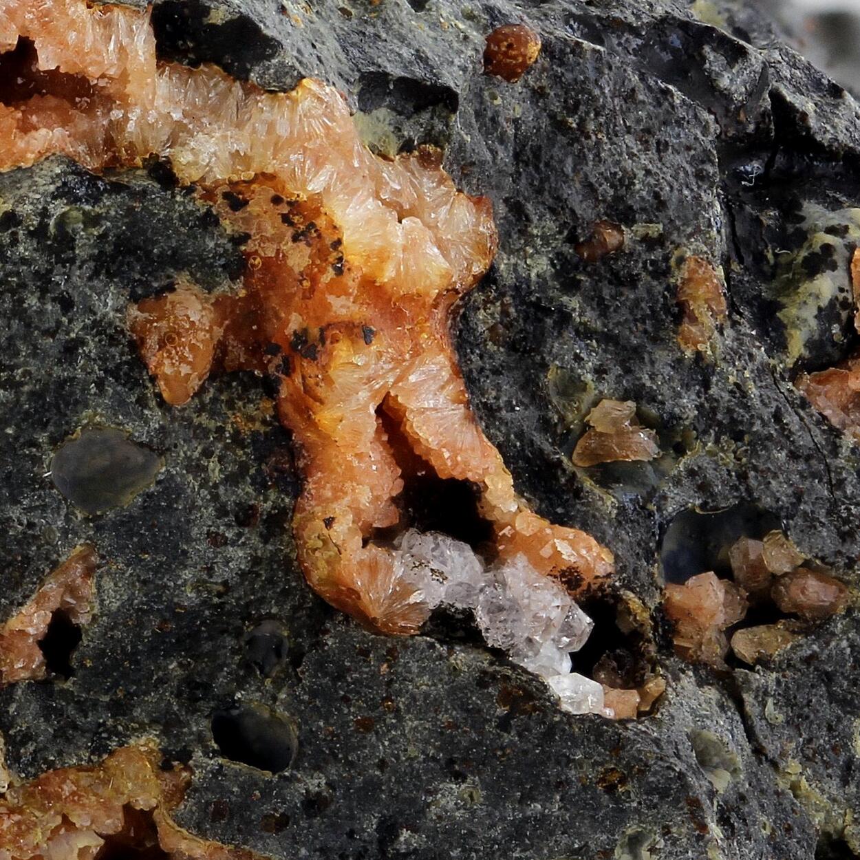 Phillipsite