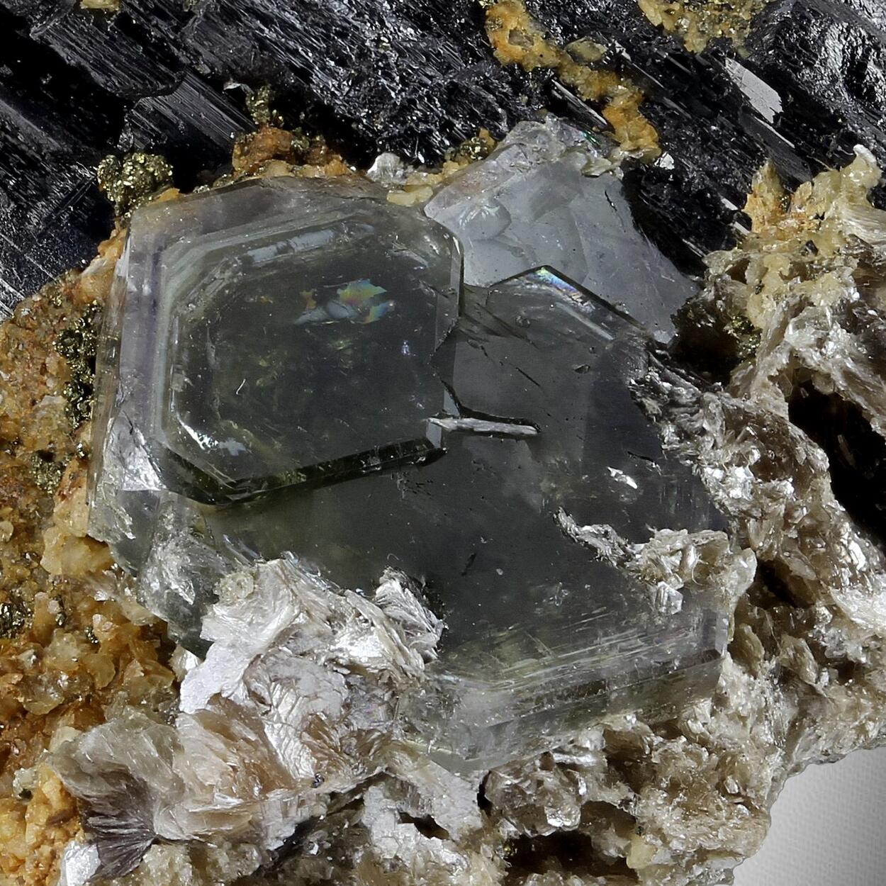 Ferberite With Apatite
