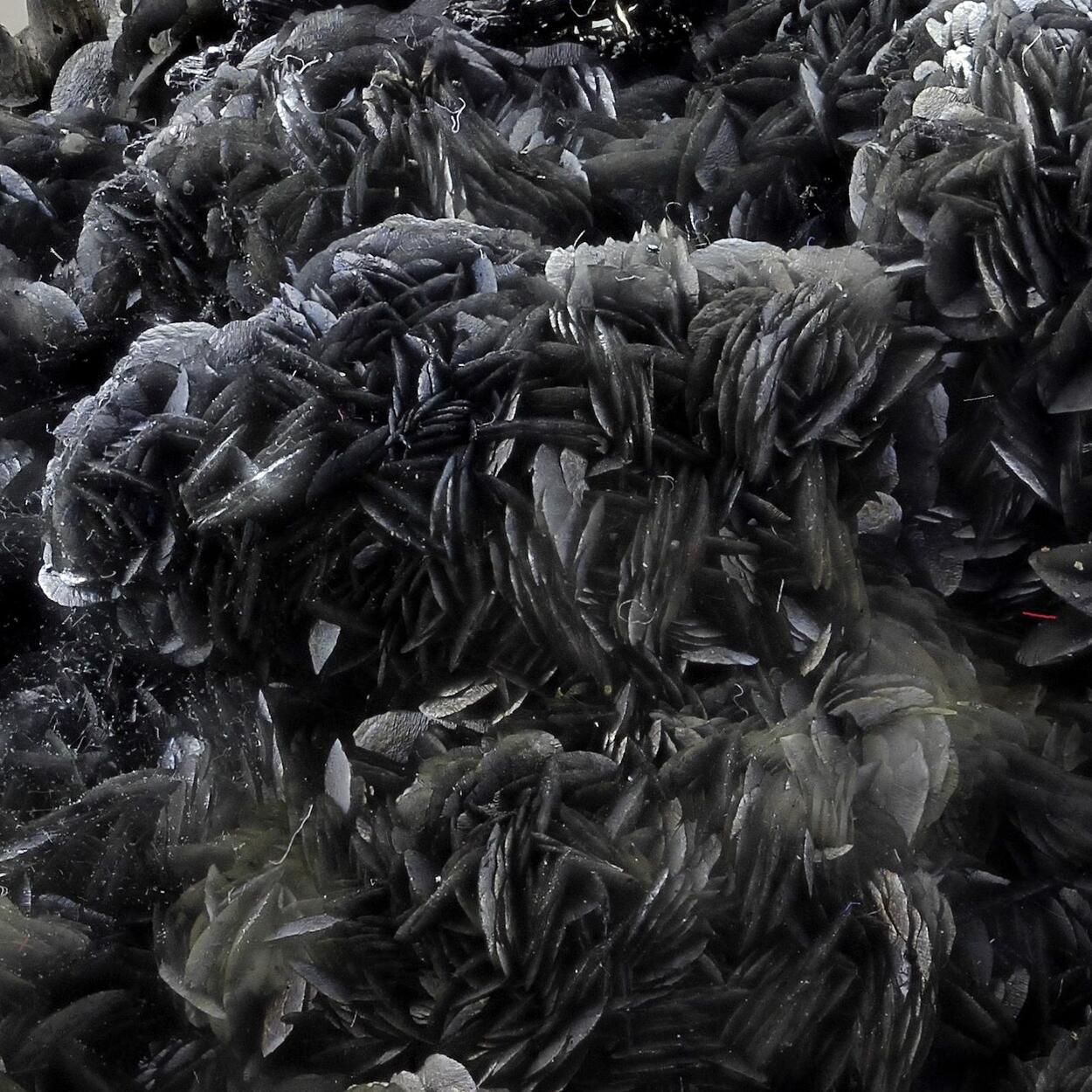 Stibnite & Calcite With Inclusions