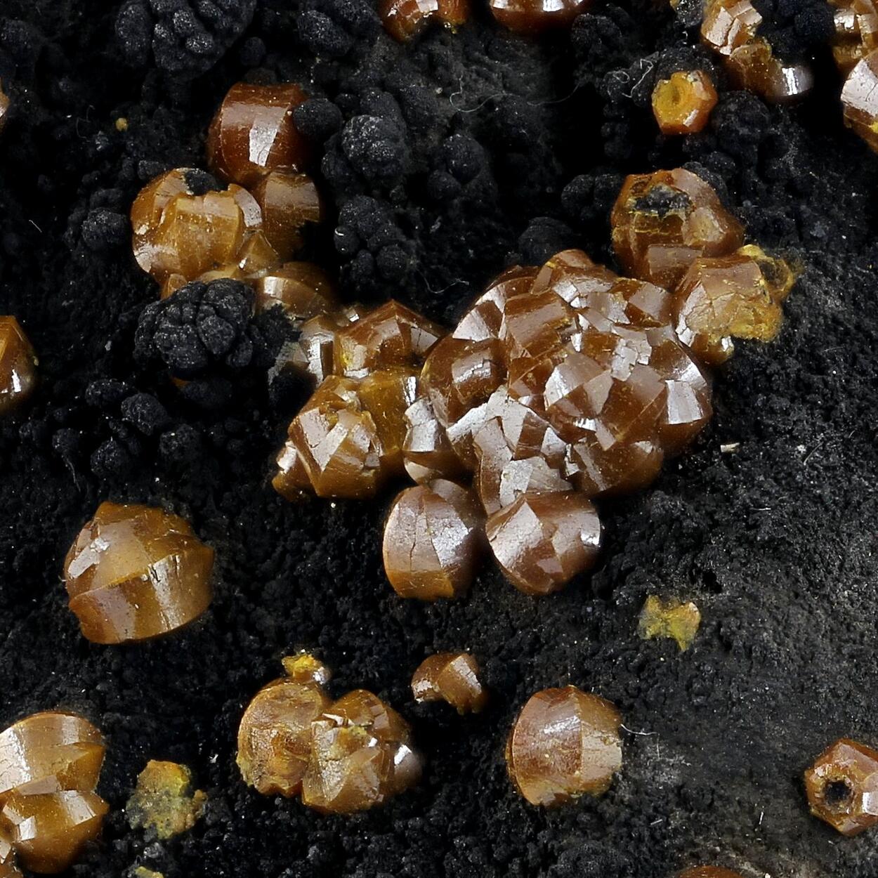 Campylite With Coronadite