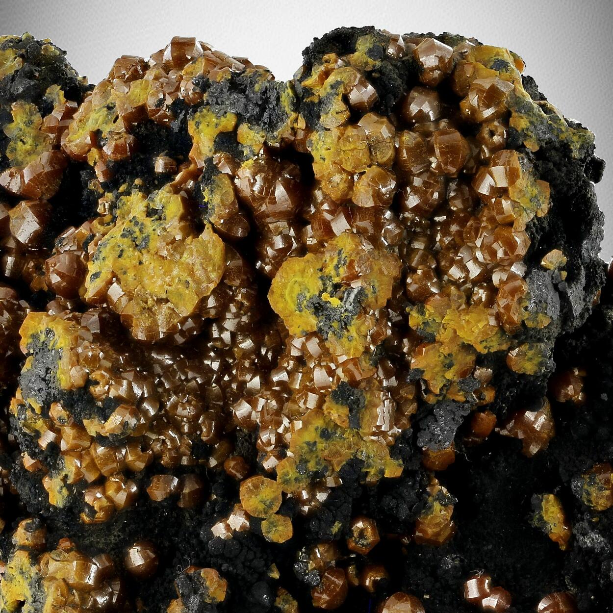Campylite With Coronadite