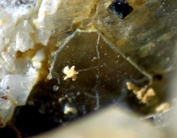 Ciprianiite & Piergorite-(Ce)