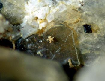 Ciprianiite & Piergorite-(Ce)