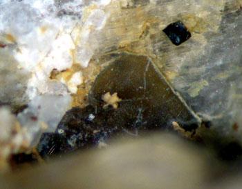 Ciprianiite & Piergorite-(Ce)