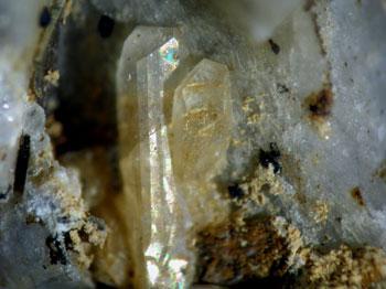 Ciprianiite & Piergorite-(Ce)