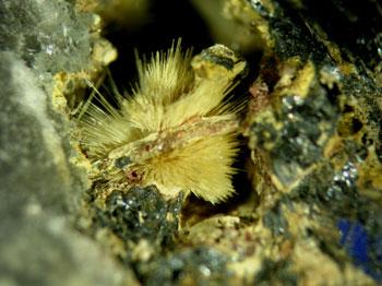 Klebelsbergite With Coquandite