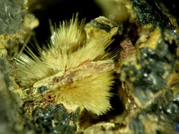 Klebelsbergite With Coquandite