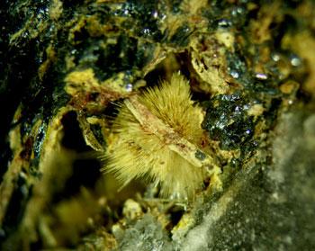 Klebelsbergite With Coquandite