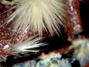 Klebelsbergite With Metastibnite