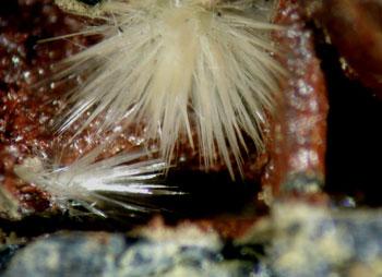 Klebelsbergite With Metastibnite