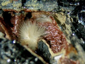 Klebelsbergite With Metastibnite