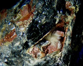 Klebelsbergite With Metastibnite