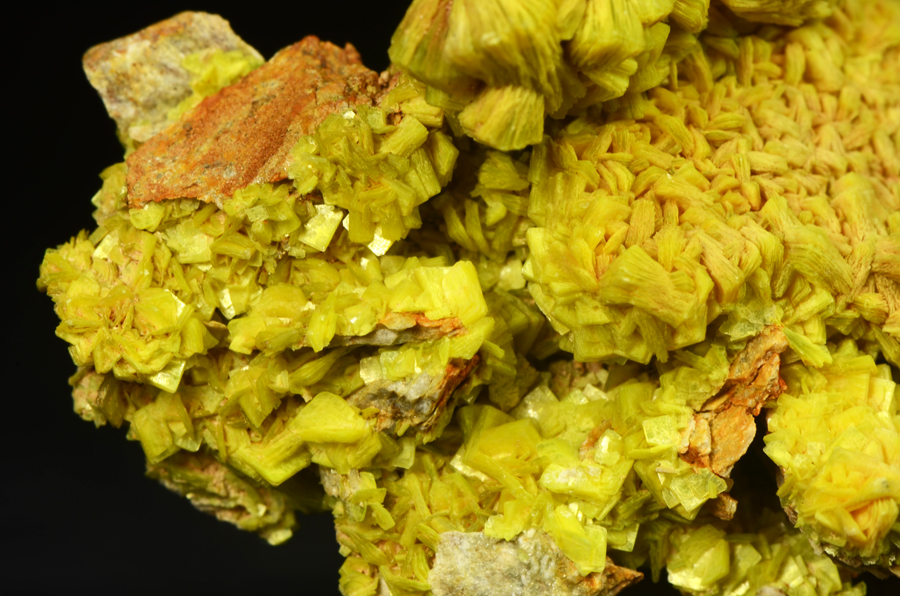 Autunite