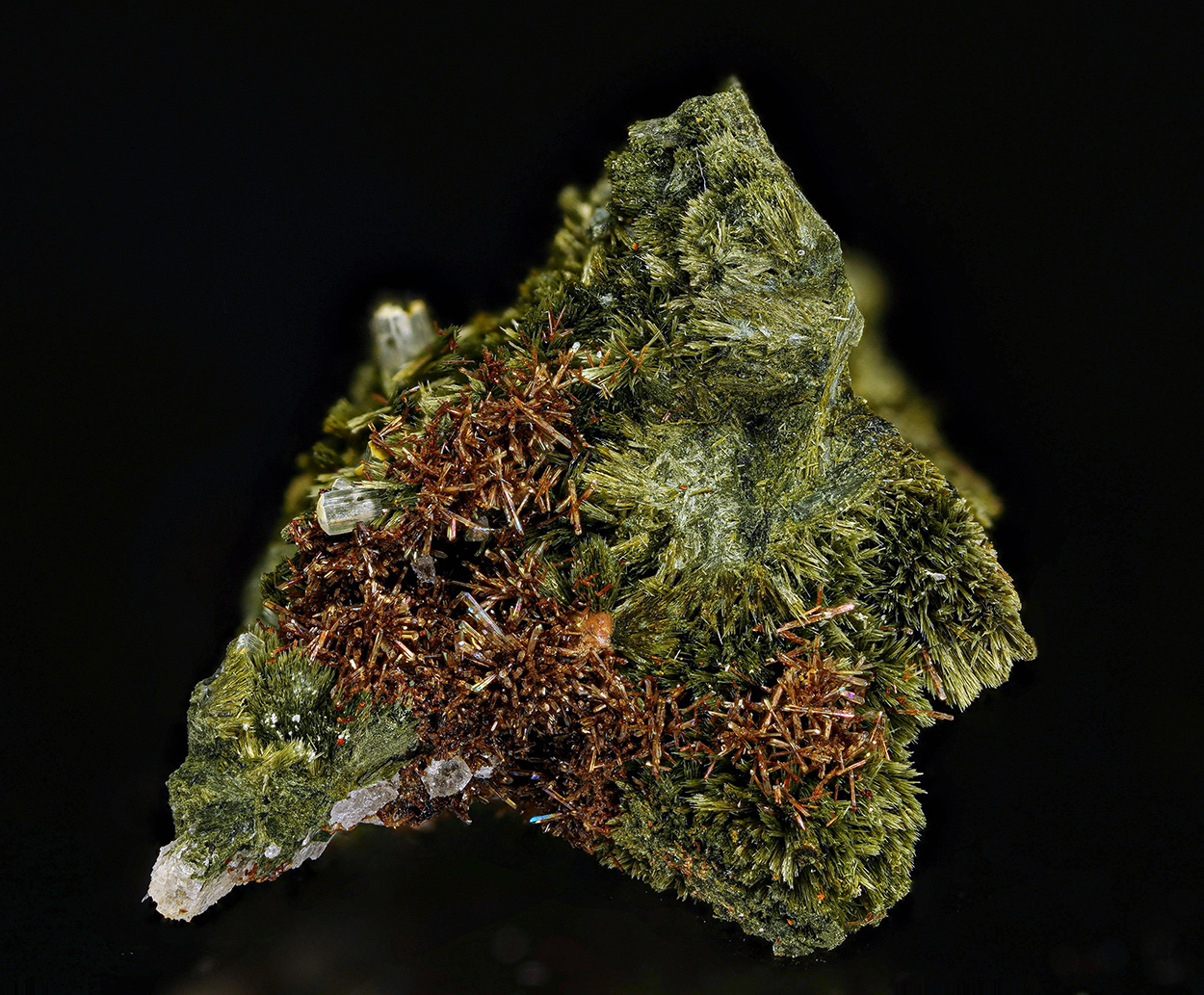 Eosphorite Gormanite-Souzalite Series & Fluorapatite