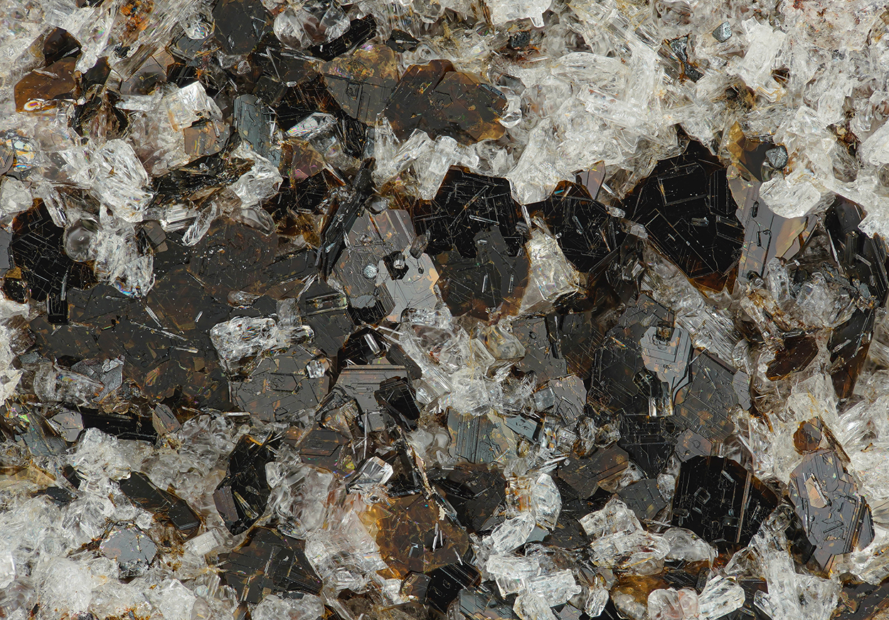 Oxyphlogopite & Nepheline