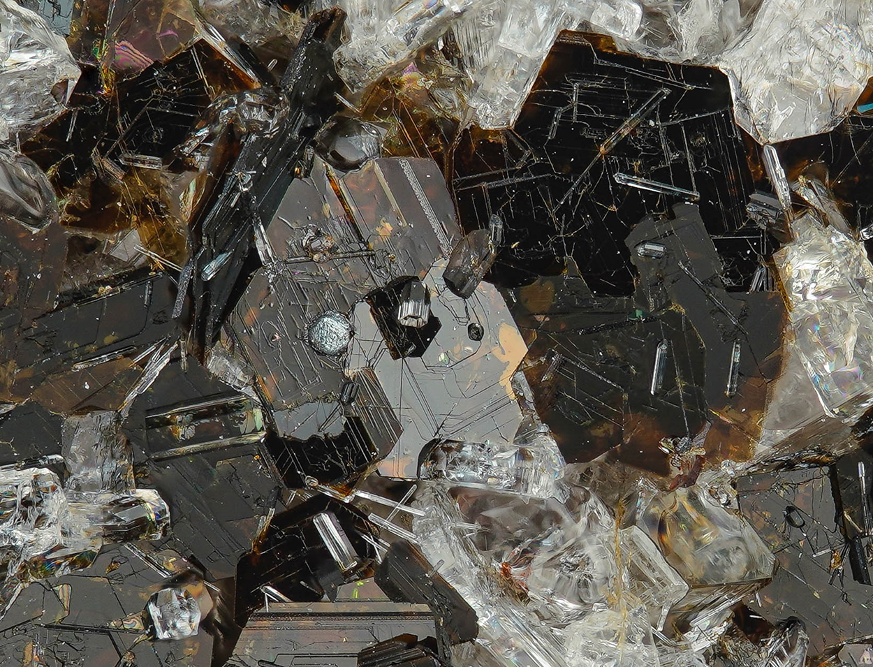 Oxyphlogopite & Nepheline