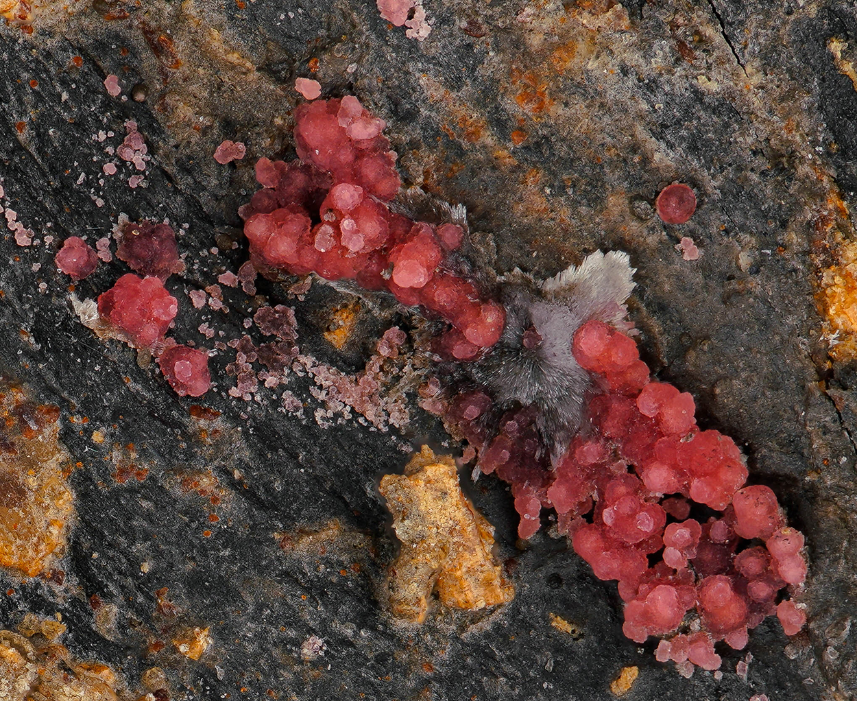 Erythrite & Aragonite