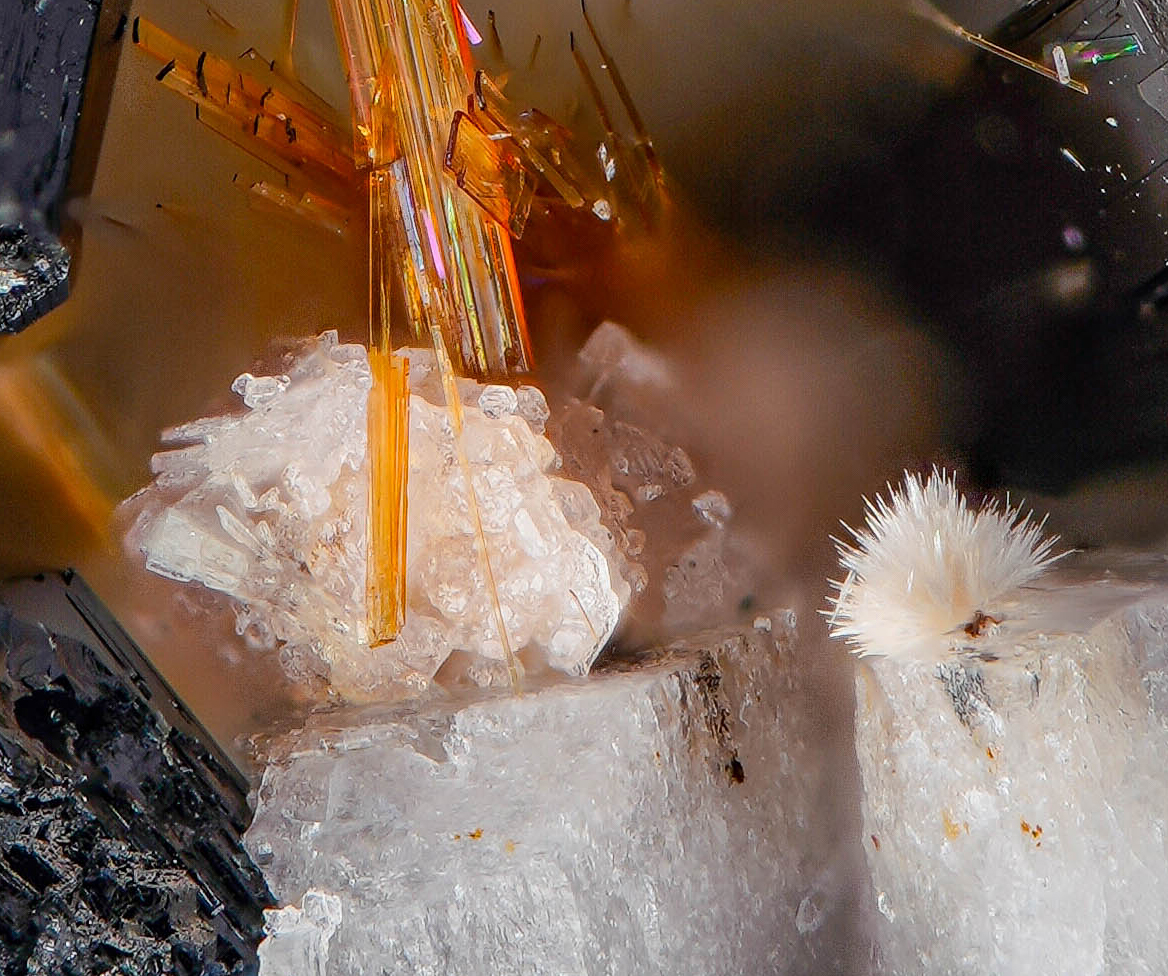 Bastnäsite-(Ce) Astrophyllite & Euxenite-(Y)