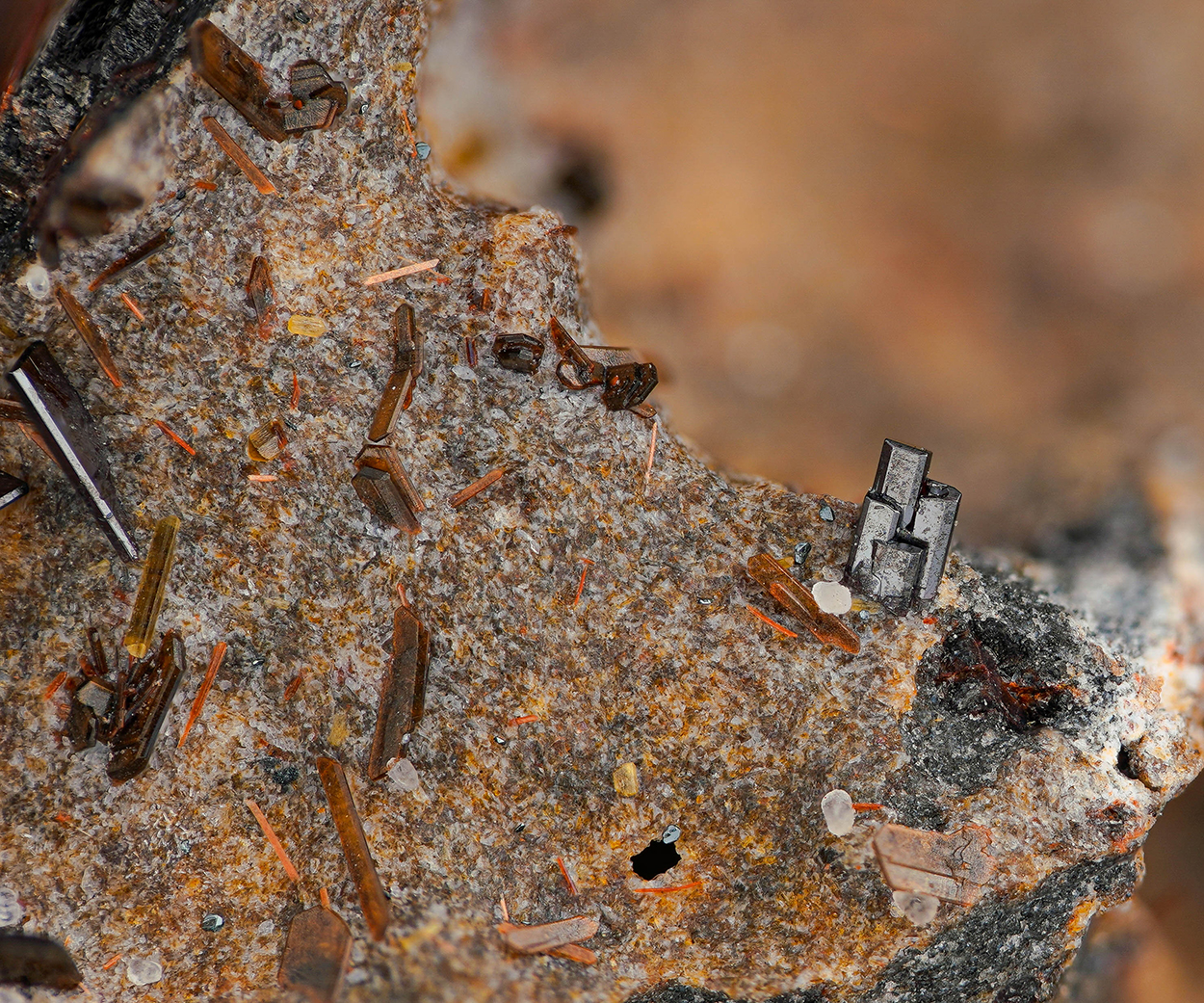 Enstatite Pseudobrookite Hematite & Phlogopite