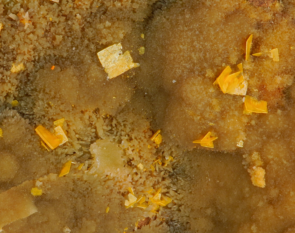 Wulfenite Pyromorphite & Descloizite